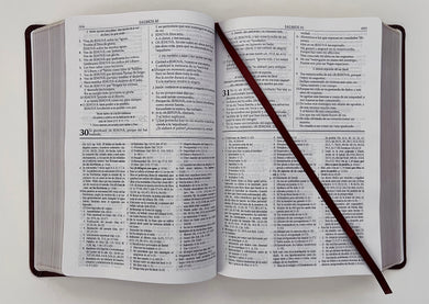 RVR 1960 Biblia de estudio Dake, tamaño grande, piel marrón / Spanish RVR 1960 Dake Study Bible, Large Size, Brown Leather interior 6 (ISBN 9781644733660)