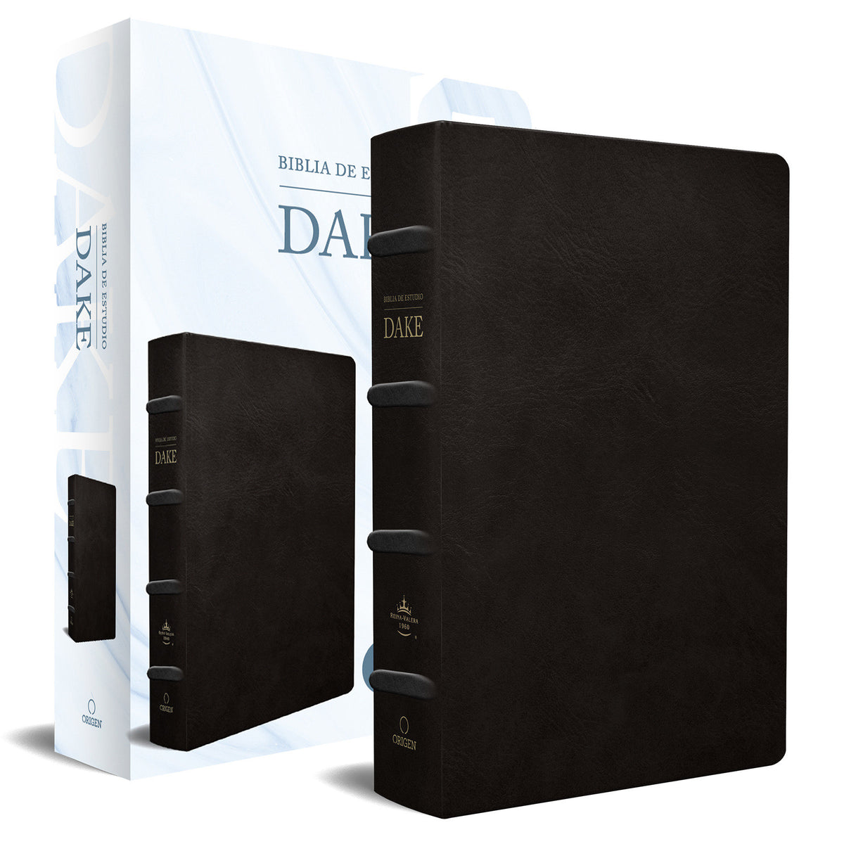 RVR 1960 Biblia de estudio Dake, tamaño grande, piel negra / Spanish RVR 1960 Dake Study Bible, Large Size, Black Leather cover (ISBN 9781644733677)
