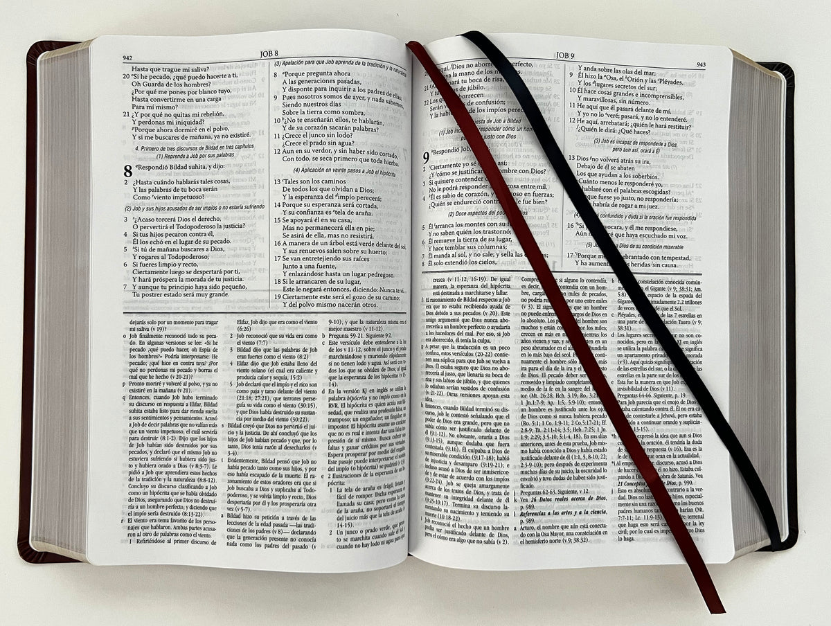 RVR 1960 Biblia de estudio Dake, tamaño grande, piel duotono marrón / Spanish RVR 1960 Dake Study Bible, Large Size, Duotone Brown Leather interior 8 (ISBN 9781644733684)