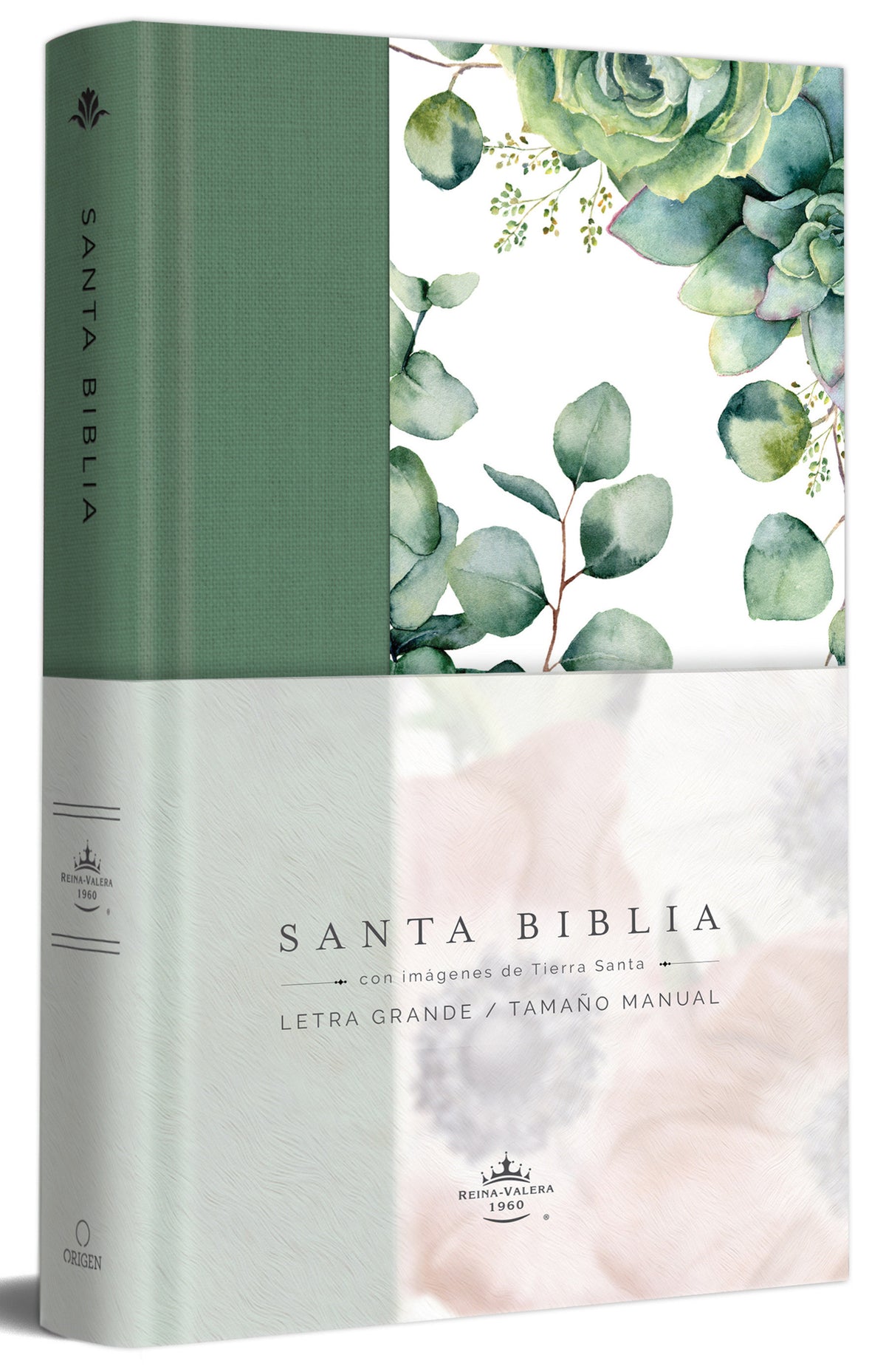 Biblia RVR 1960 letra grande Tapa dura y tela verde con flores tamaño manual / Bible RVR 1960 Handy Size Large Print Hardcover Cloth with Green Floral cover (ISBN 9781644733981)