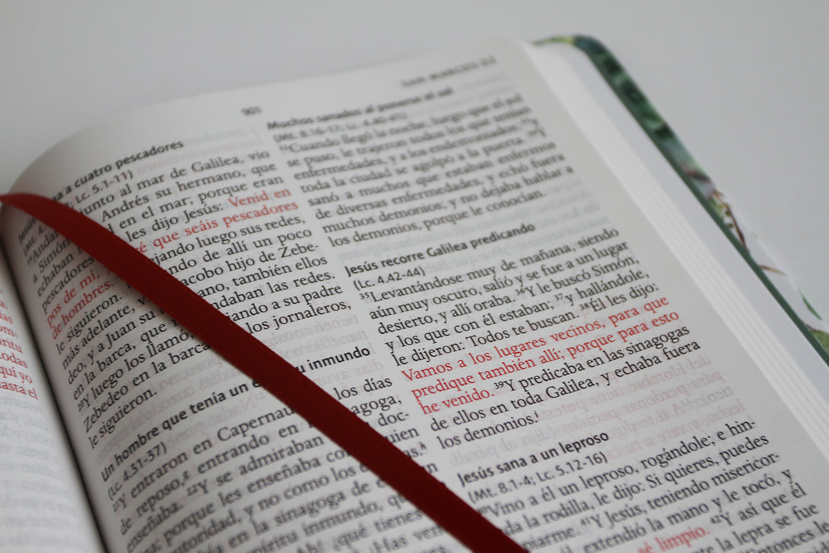 Biblia RVR 1960 letra grande Tapa dura y tela verde con flores tamaño manual / Bible RVR 1960 Handy Size Large Print Hardcover Cloth with Green Floral interior 1 (ISBN 9781644733981)