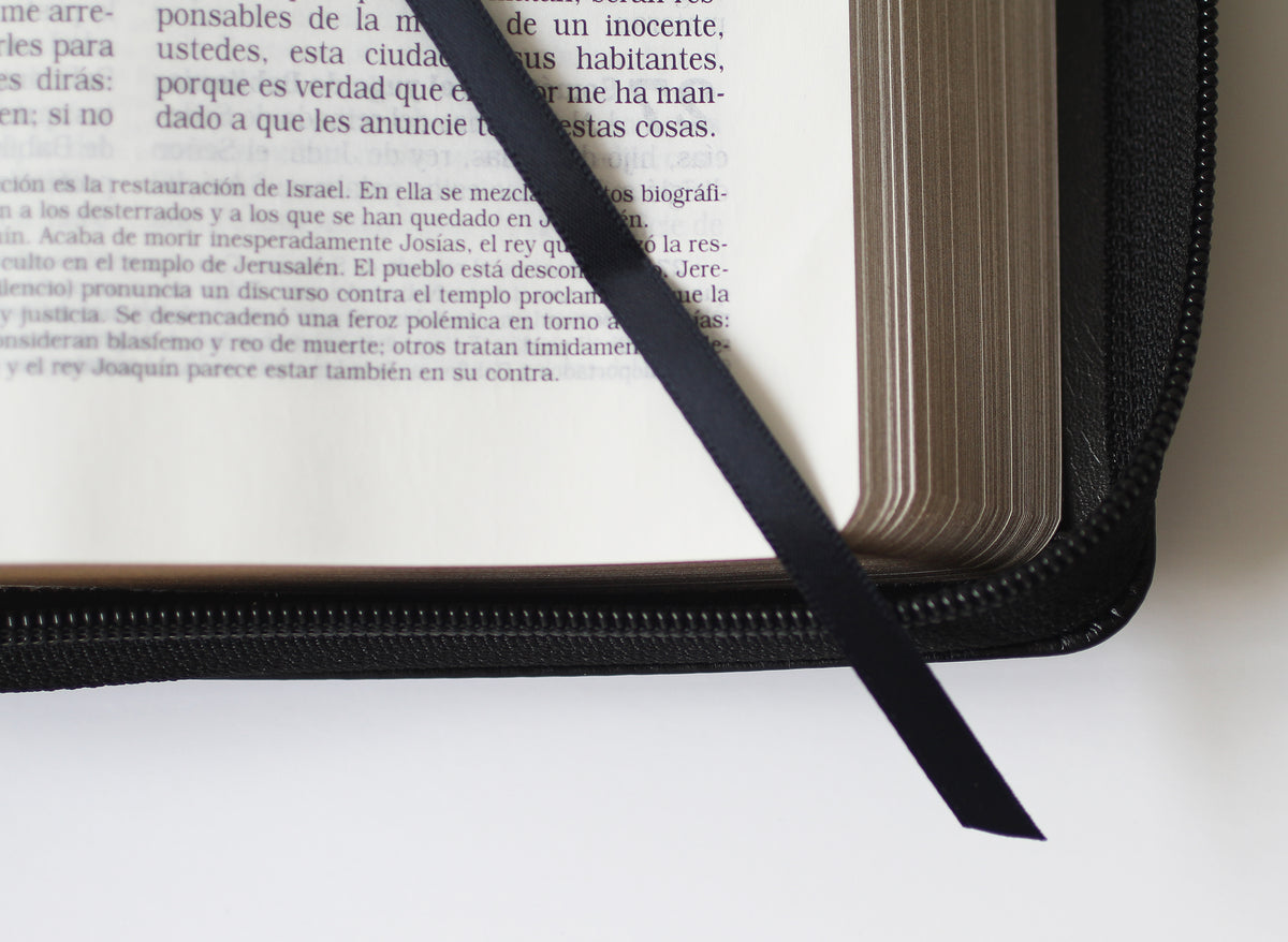 La Biblia Católica letra y tamaño grande. Símil piel negra, cremallera / Catholic Bible in spanish Black Leathersoft with Zipper interior 3 (ISBN 9781644734612)