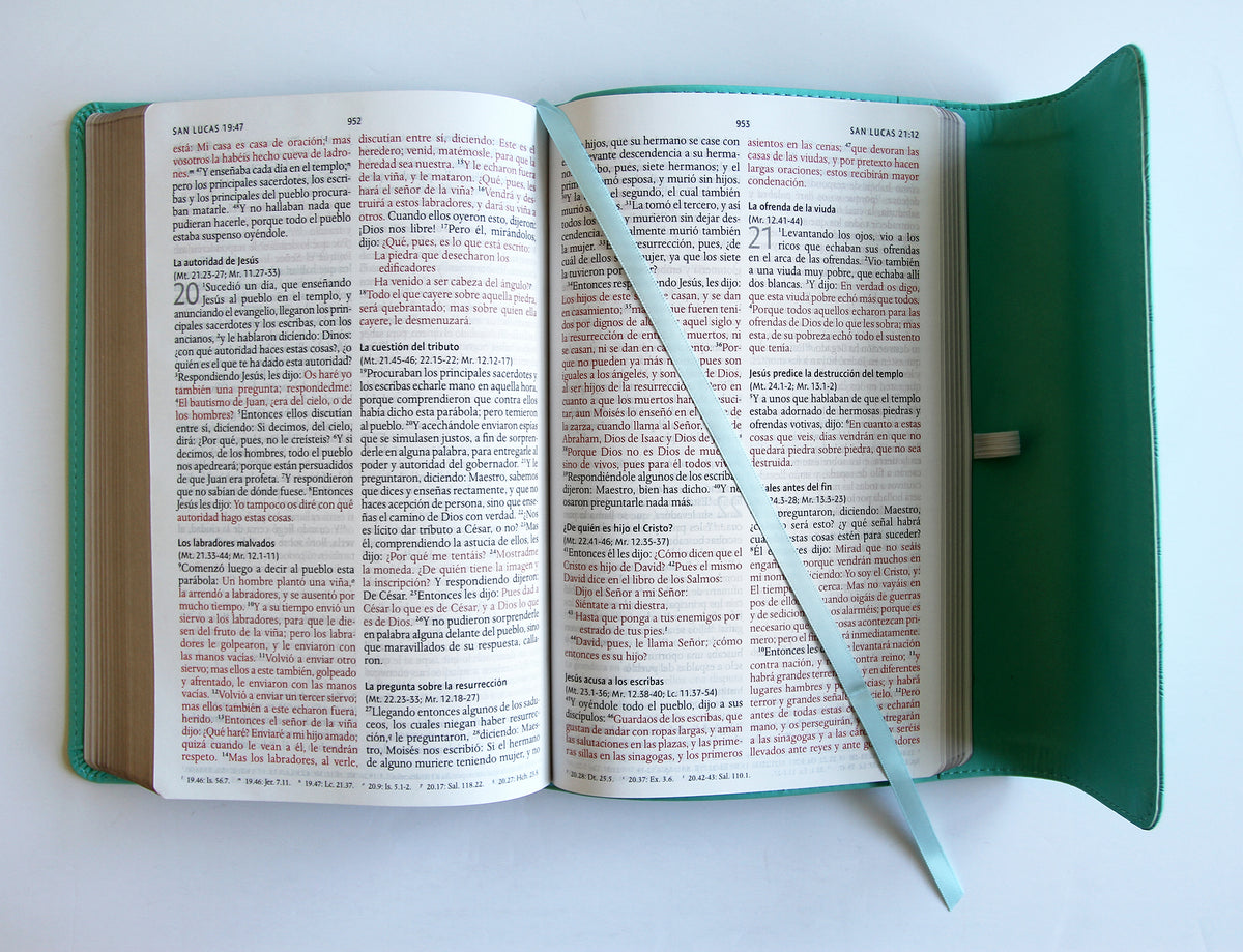Biblia RVR 1960 tamaño manual, símil piel aquamarina con solapa e imán / Spanish Bible RVR 1960 Handy Size Large Print Leathersoft with magnet interior 1 (ISBN 9781644735206)