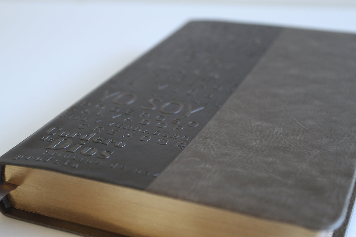 Biblia RVR 1960 letra grande tamaño manual, simil piel gris con nombres de Dios / Spanish Bible RVR 1960 Handy Size Large Print Leathersoft Grey, Names of god interior 3 (ISBN 9781644735602)
