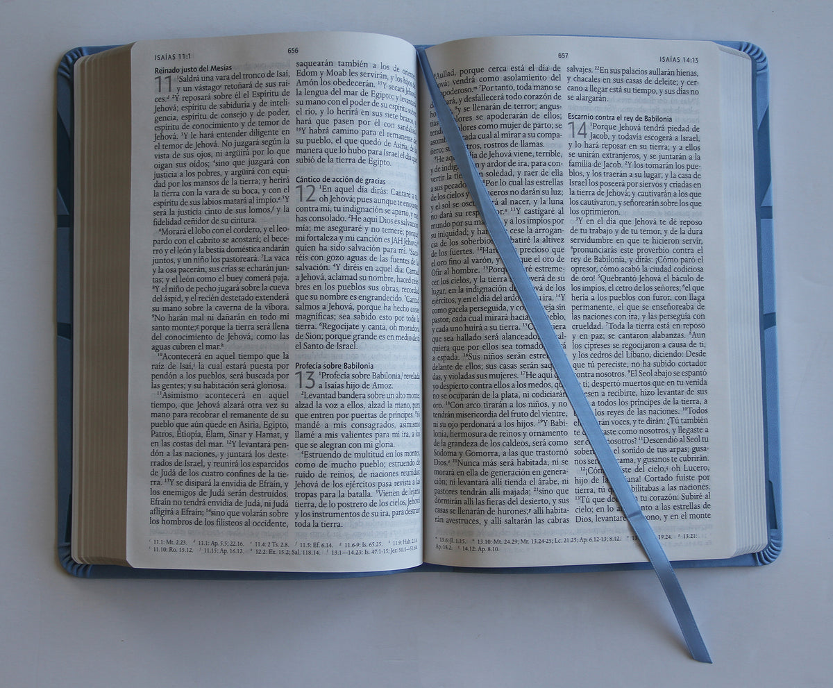 Biblia RVR 1960 letra grande tamaño manual, símil piel azul celeste con nombres de Dios / Spanish Bible RVR 1960 Handy Size Large Print Leathersoft Soft Blue interior 1 (ISBN 9781644735626)