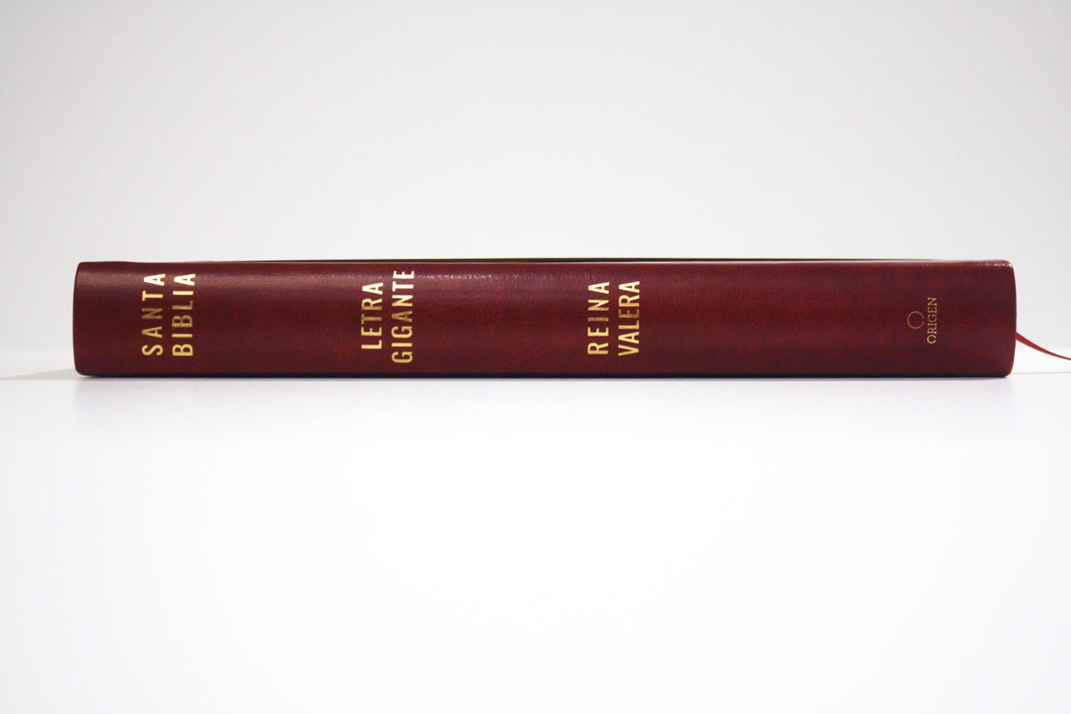 Biblia Reina Valera letra súper gigante, símil piel vinotinto / Spanish Bible Reina Valera Super Giant Print, Burgundy Leathersoft interior 2 (ISBN 9781644735671)