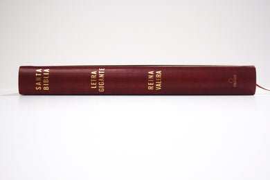 Biblia Reina Valera letra súper gigante, símil piel vinotinto / Spanish Bible Reina Valera Super Giant Print, Burgundy Leathersoft interior 2 (ISBN 9781644735671)