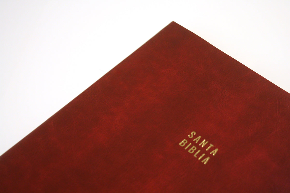 Biblia Reina Valera letra súper gigante, símil piel vinotinto / Spanish Bible Reina Valera Super Giant Print, Burgundy Leathersoft interior 4 (ISBN 9781644735671)