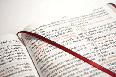 Biblia Reina Valera letra súper gigante, símil piel vinotinto / Spanish Bible Reina Valera Super Giant Print, Burgundy Leathersoft interior 5 (ISBN 9781644735671)