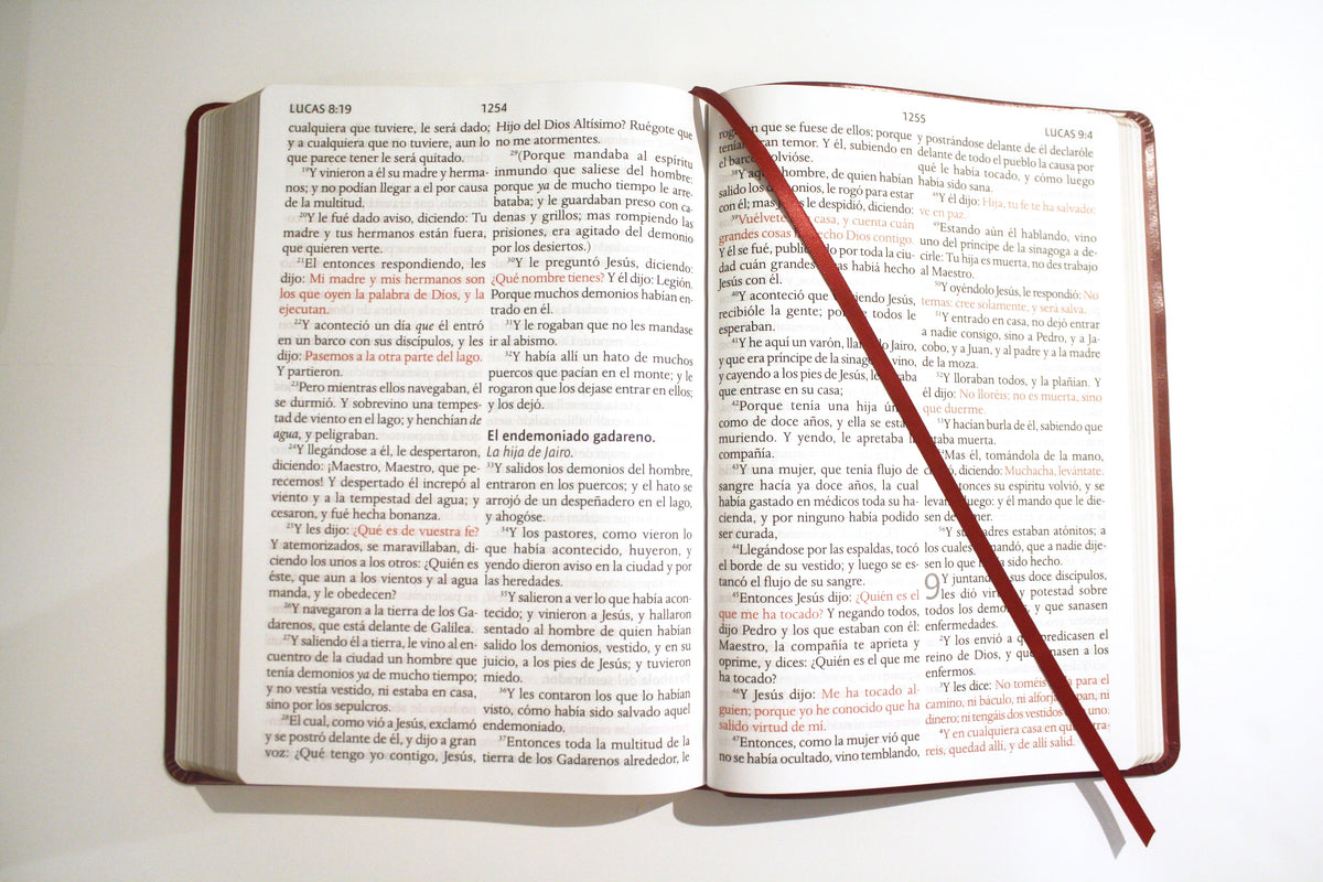 Biblia Reina Valera letra súper gigante, símil piel vinotinto / Spanish Bible Reina Valera Super Giant Print, Burgundy Leathersoft interior 6 (ISBN 9781644735671)