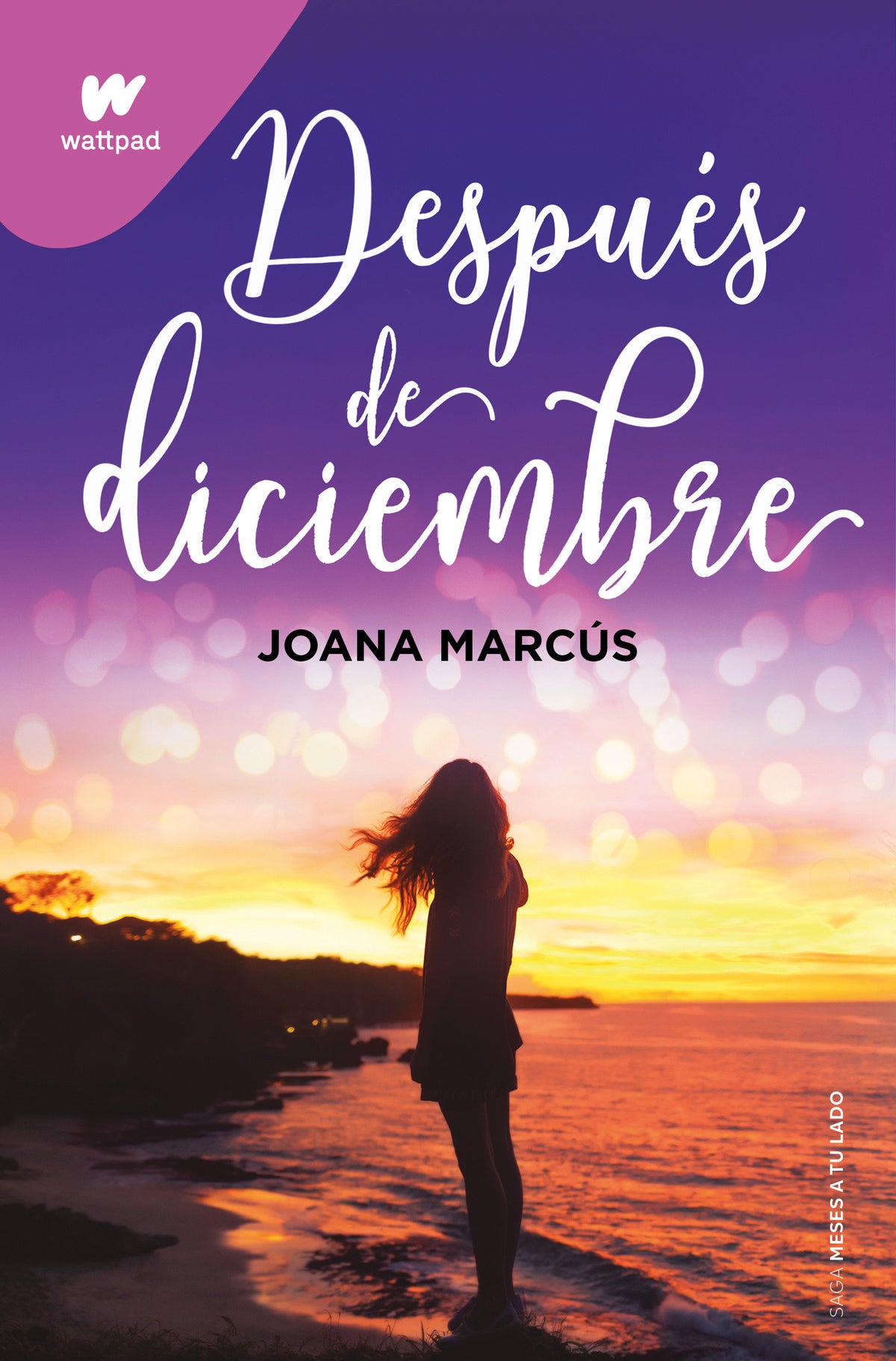 Después de diciembre / After December cover (ISBN 9781644736418)