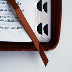 Biblia RVR 1960 letra grande tamaño manual cremallera e índice canela nombres de Dios / Spanish Bible RV60 Handy Size Large Print Brown Names of God Index Zi interior 6 (ISBN 9781644736715)