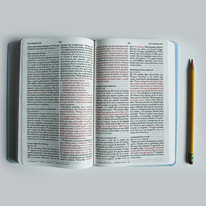 Biblia RVR 1960 letra grande, manual, tapa dura con nombres de Dios, flores azul / Spanish Bible RVR 1960 Handy Size, LP, HC with Names of God, blue flowers interior 1 (ISBN 9781644737132)