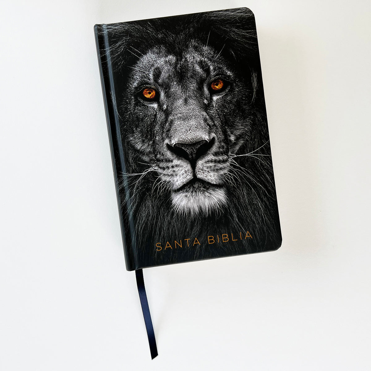 Biblia RVR 1960 letra grande tamaño manual, tapa dura León de Juda con índice / Spanish Bible RVR 1960 Handy Size Large Print Hardcover Lion of Judah with In interior 4 (ISBN 9781644737705)
