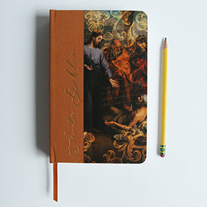 Biblia RVR 1960 letra grande, tamaño manual, tapa dura de tela Jesús sana / Spanish Bible RVR 1960 Handy Size Large Print Hardcover Cloth Jesus Heals interior 3 (ISBN 9781644737750)