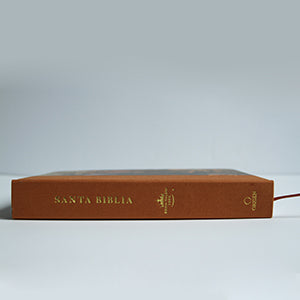 Biblia RVR 1960 letra grande, tamaño manual, tapa dura de tela Jesús sana / Spanish Bible RVR 1960 Handy Size Large Print Hardcover Cloth Jesus Heals interior 4 (ISBN 9781644737750)