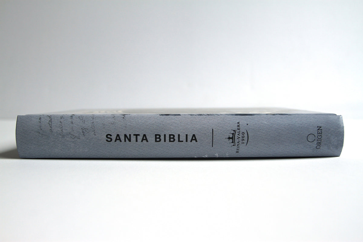 Biblia RVR60 letra grande tamaño manual, tapa dura León Rey de Reyes / Spanish Bible RVR60 Handy Size Large Print Hardcover Lion King of Kings interior 3 (ISBN 9781644737781)