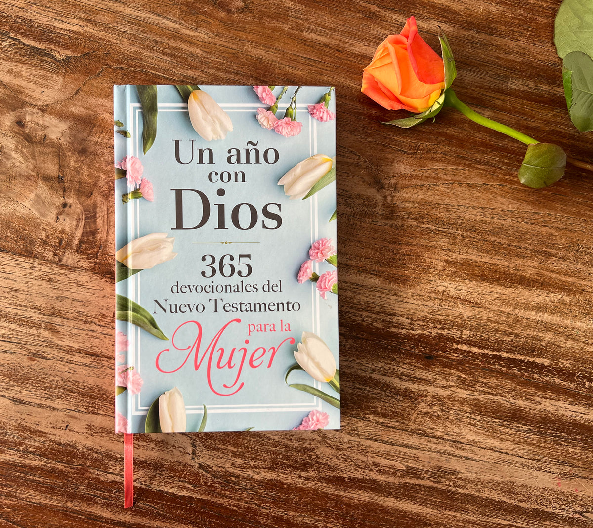 Un año con Dios: 365 devocionales del nuevo testamento para la mujer / A Year with God: 365 New Testament Devotionals for Women interior 3 (ISBN 9781644737972)