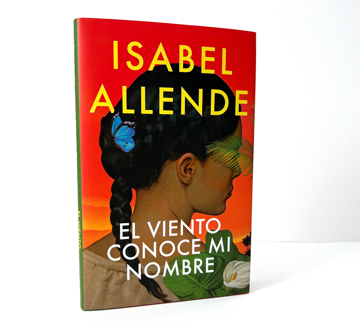 El viento conoce mi nombre / The Wind Knows My Name interior 4 (ISBN 9781644738313)