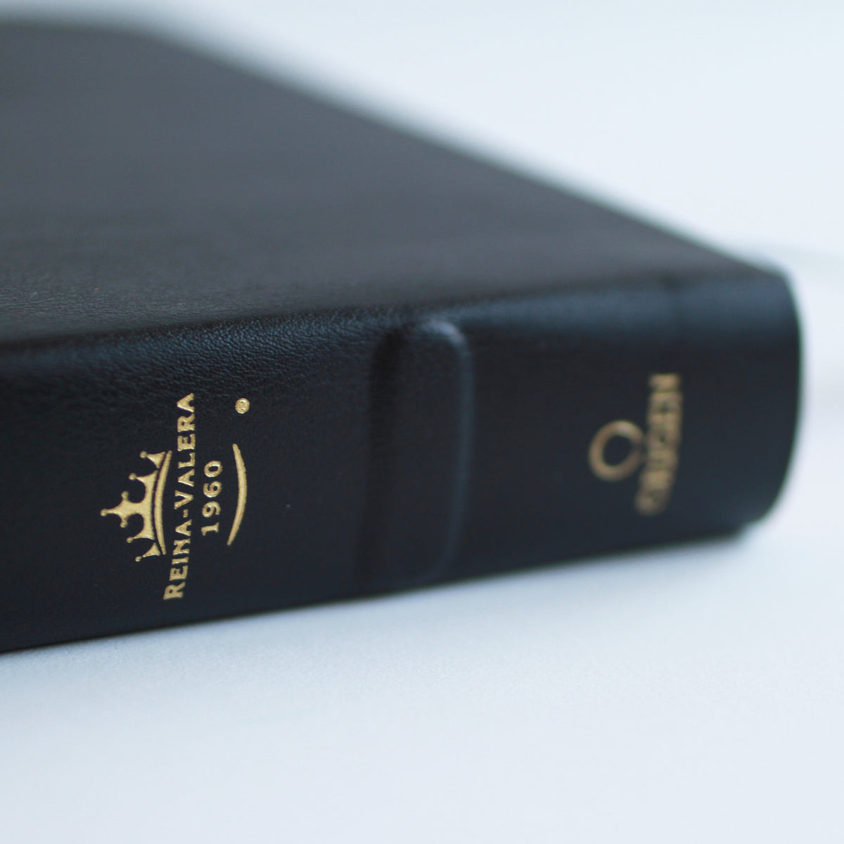 Biblia RVR 1960 letra grande tamaño manual, Piel Premier negro / Spanish Bible RVR 1960 Handy Size Large Print Bonded Leather Black interior 3 (ISBN 9781644739396)