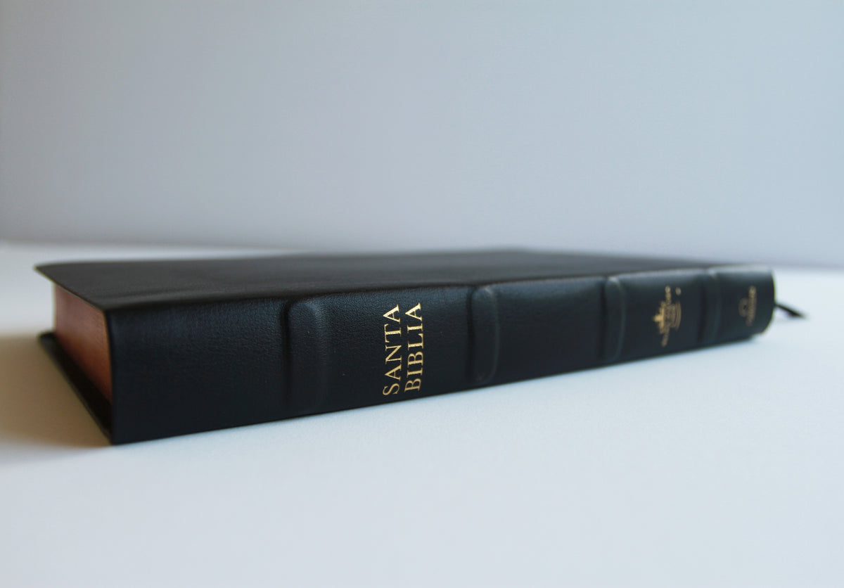 Biblia Reina Valera 1960 letra grande. Piel Premier negro, índice, tamaño manual/ Spanish Bible RVR 1960 Handy Size, Large Print, Index Tabs, Bonded Leather B interior 1 (ISBN 9781644739402)