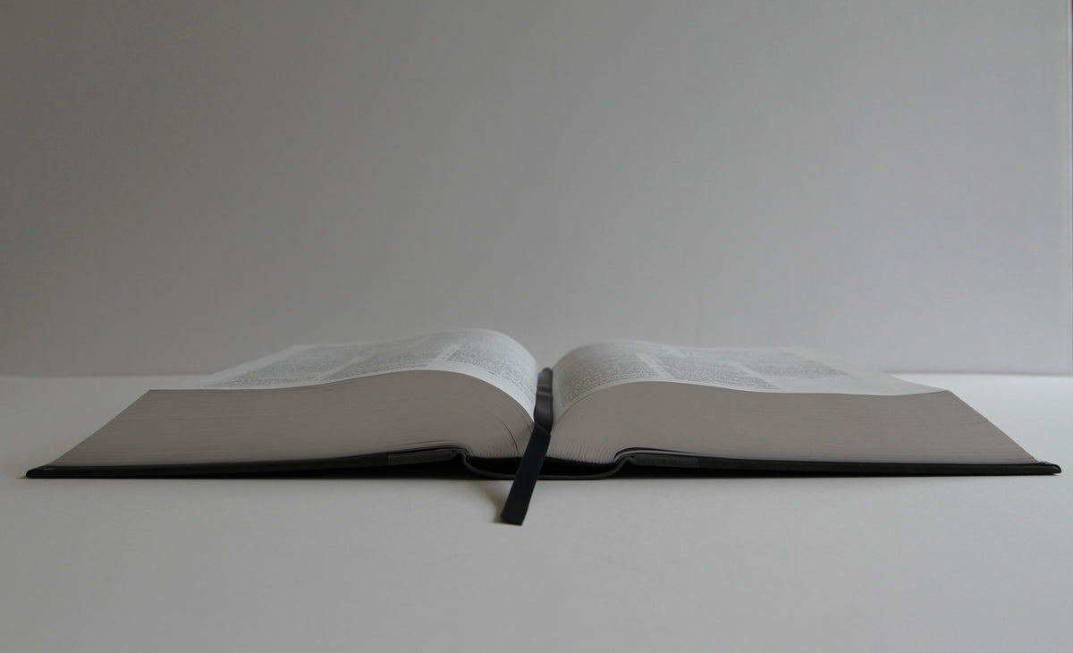 RVR 1960 Biblia de estudio Dake, tamaño grande, Tapa dura, Negra / Spanish RVR 1960 Dake Study Bible, Large Size, Black Hardcover interior 5 (ISBN 9781644739617)
