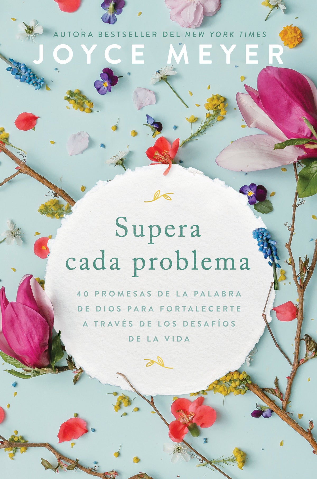 Supera cada problema: 40 promesas de la palabra de Dios para fortalecerte a través de los desafíos de la vida / Overcoming Every Problem cover (ISBN 9781644739648)