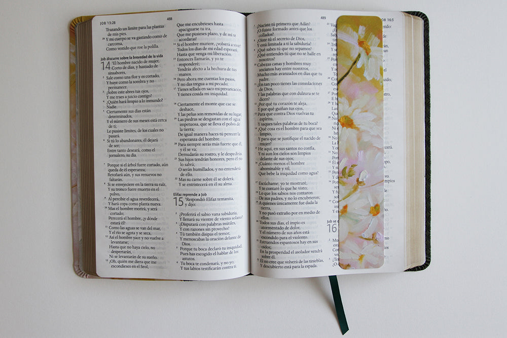 Biblia Reina Valera 1960 letra grande. Piel verde con flores, tamaño manual / Spanish Bible RVR 1960 Large Print. Imitation Green Leather With Flowers interior 6 (ISBN 9781644739686)