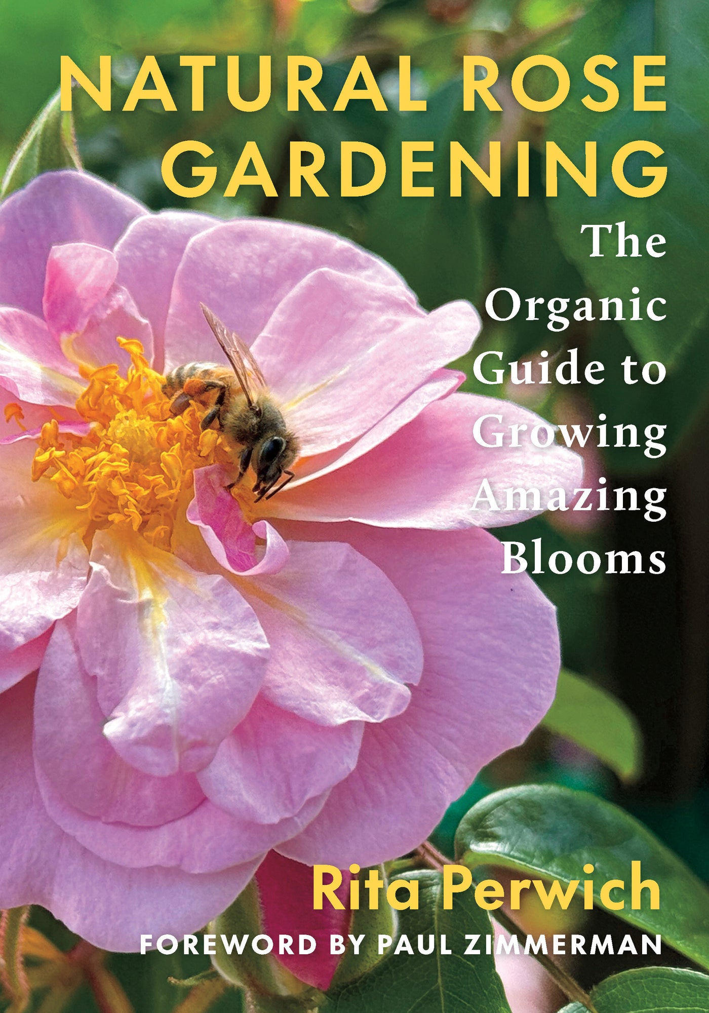 Natural Rose Gardening