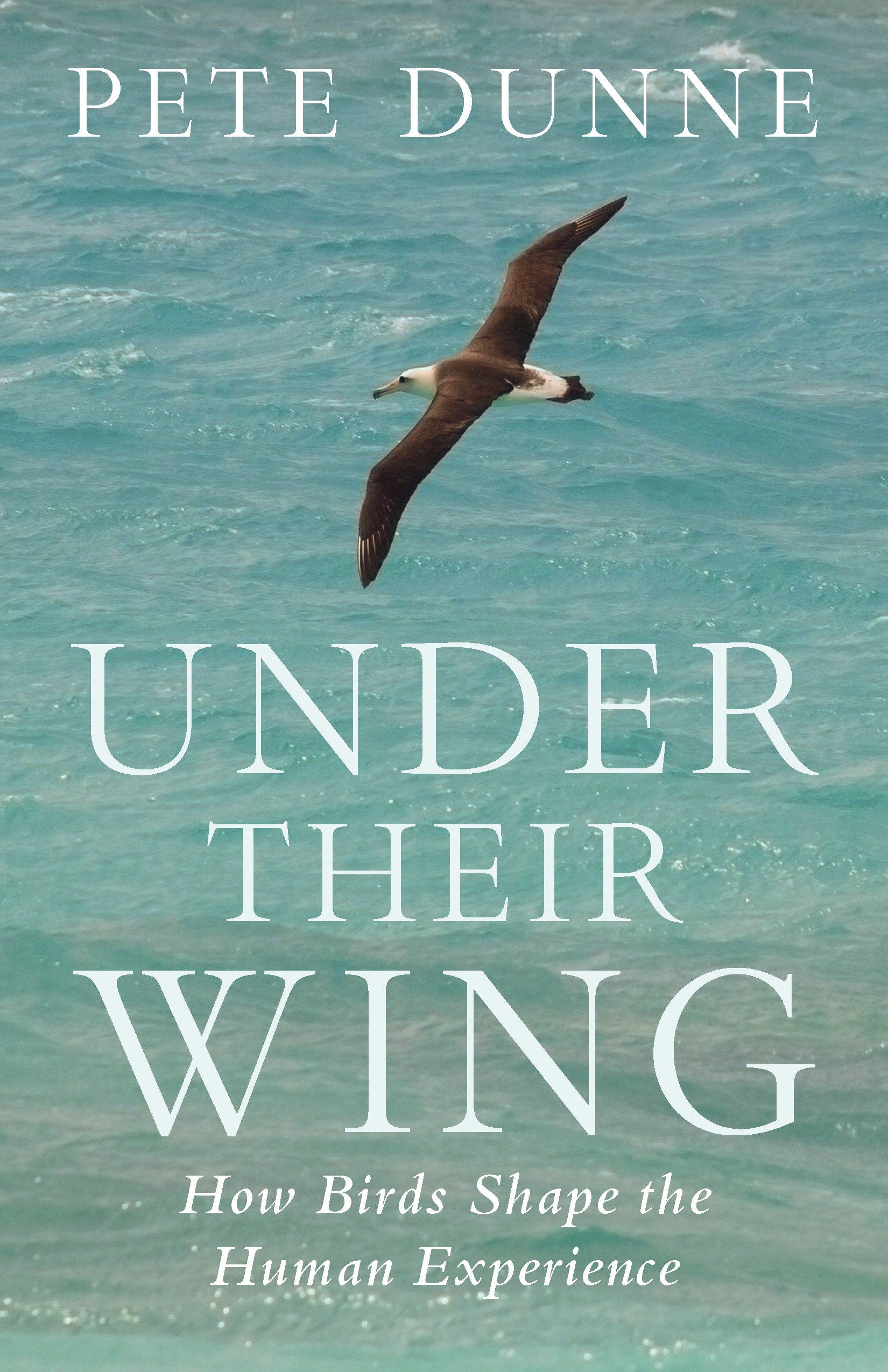 Under Their Wing