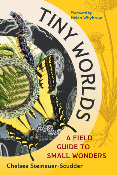 Tiny Worlds cover (ISBN 9781645024781)