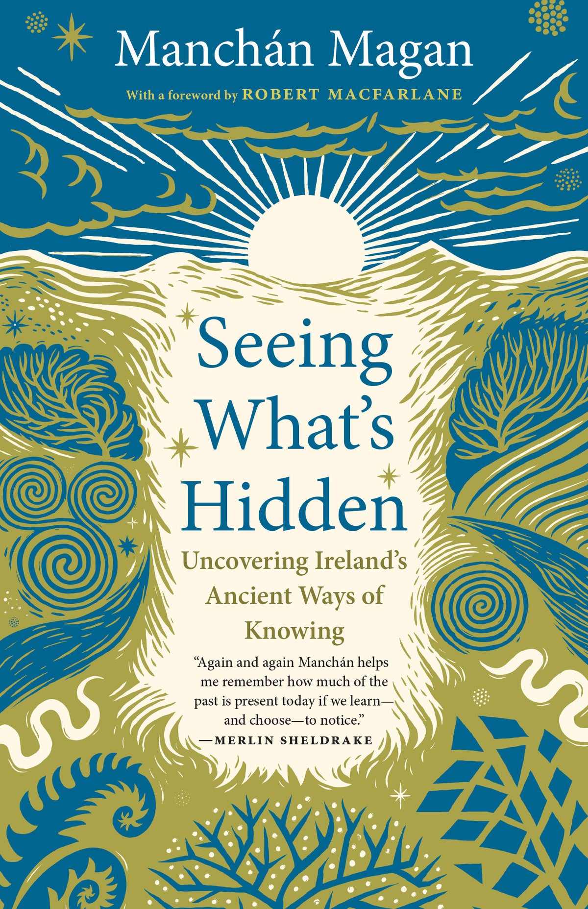 Seeing What's Hidden cover (ISBN 9781645025139)
