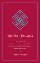 The Sole Panacea-Religion and beliefs-買書書 BuyBookBook