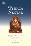 Wisdom Nectar-Religion and beliefs-買書書 BuyBookBook