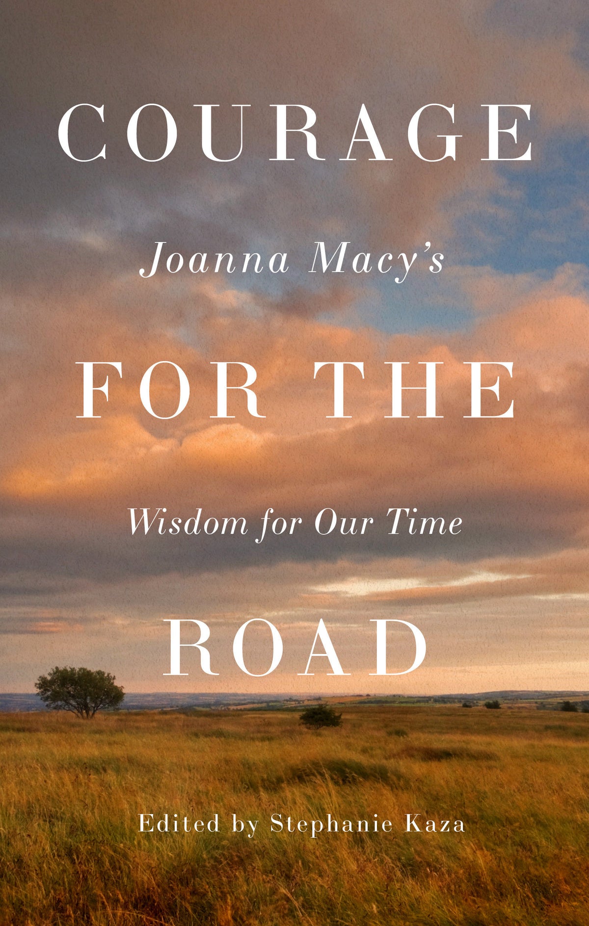 Courage for the Road cover (ISBN 9781645475927)