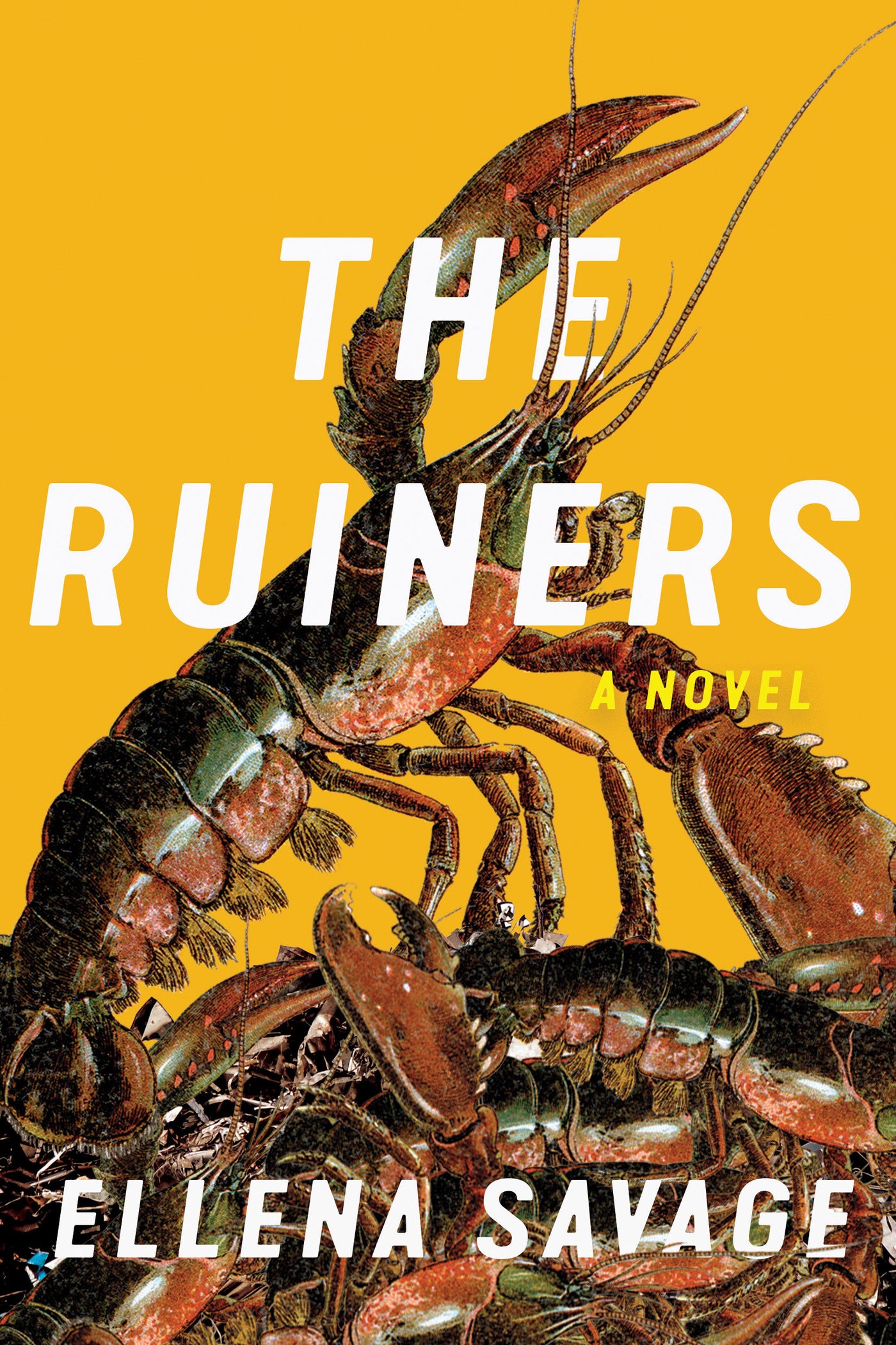 The Ruiners