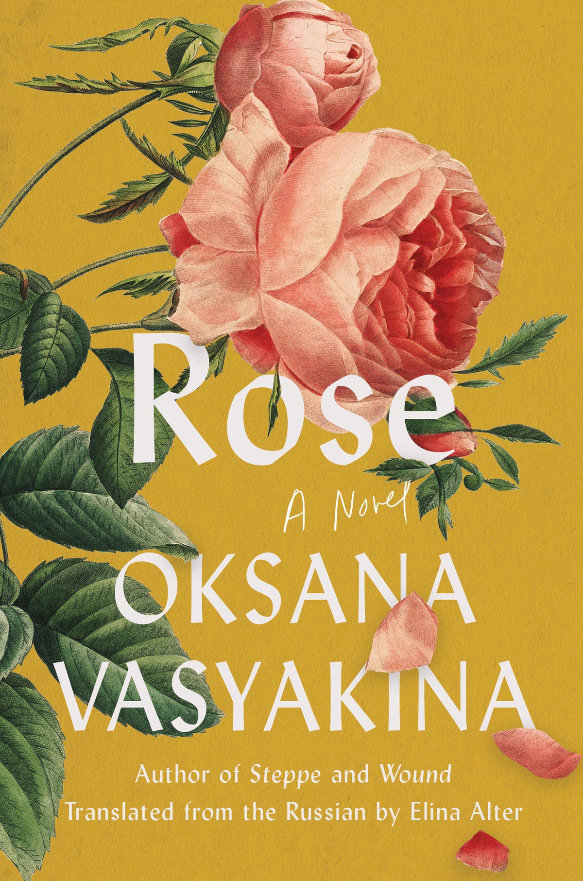 Rose cover (ISBN 9781646223817)