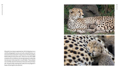 New on Earth inside page 3