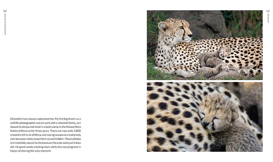 New on Earth inside page 3