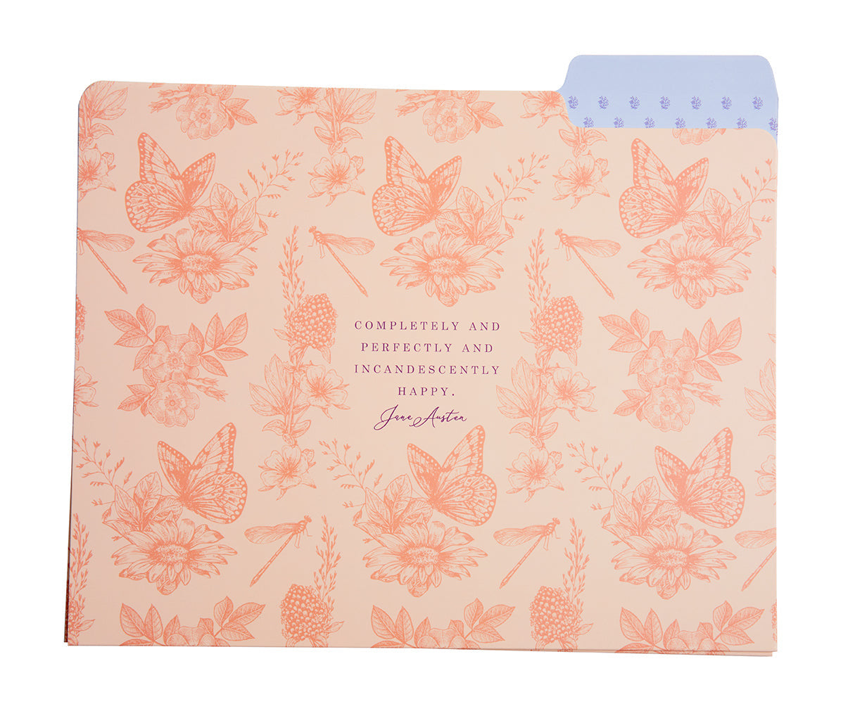 Jane Austen: File Folder Set (Set of 9) inside page 3