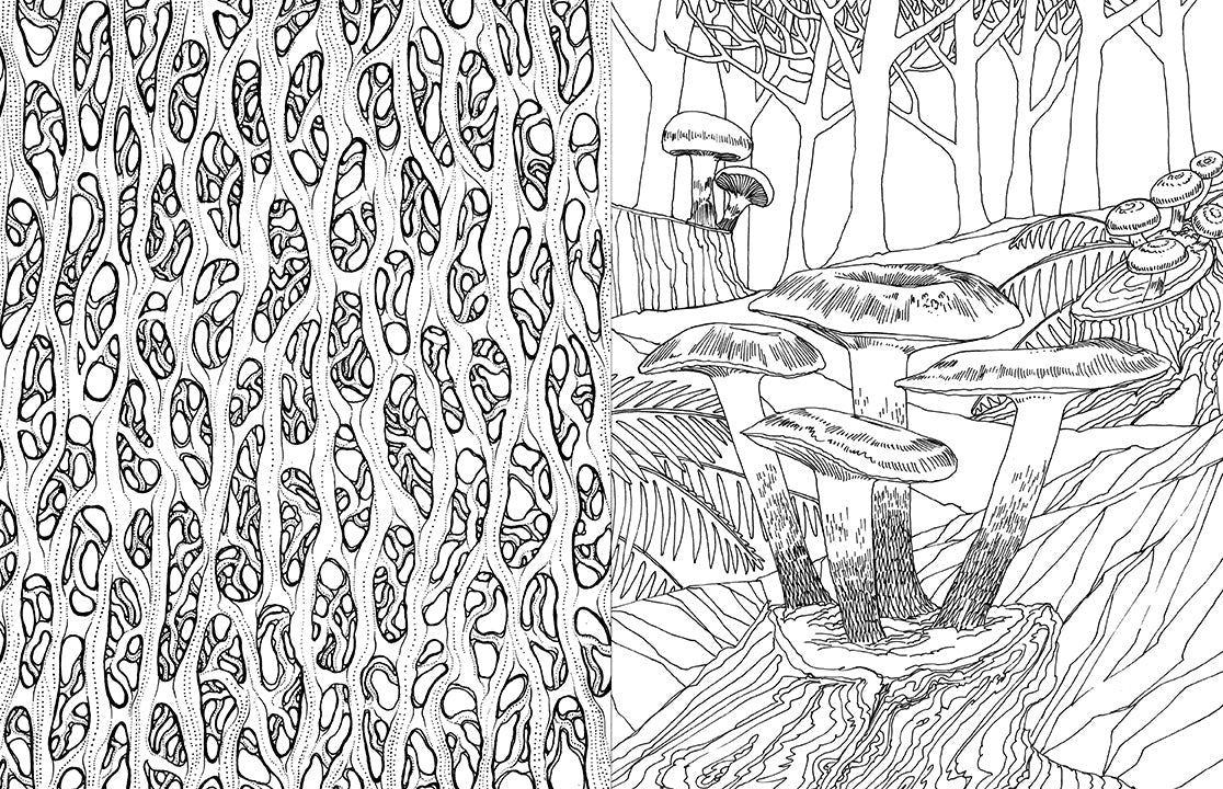 Fantastic Fungi: The Coloring Book inside page 2