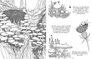 Fantastic Fungi: The Coloring Book inside page 3