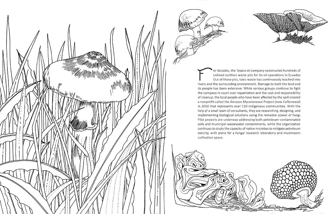 Fantastic Fungi: The Coloring Book inside page 4