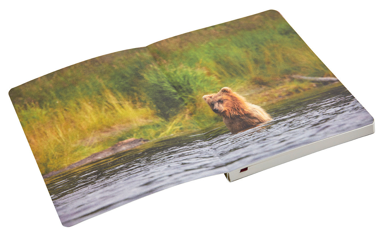 Refuge: Purple Fireweed Softcover Notebook inside page 1