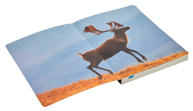Refuge: Arctic River Softcover Notebook inside page 1