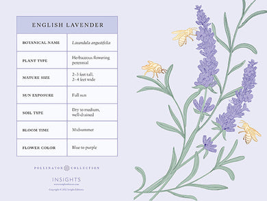 Honeybee Card Portfolio Set (Set of 20 Cards) inside page 3