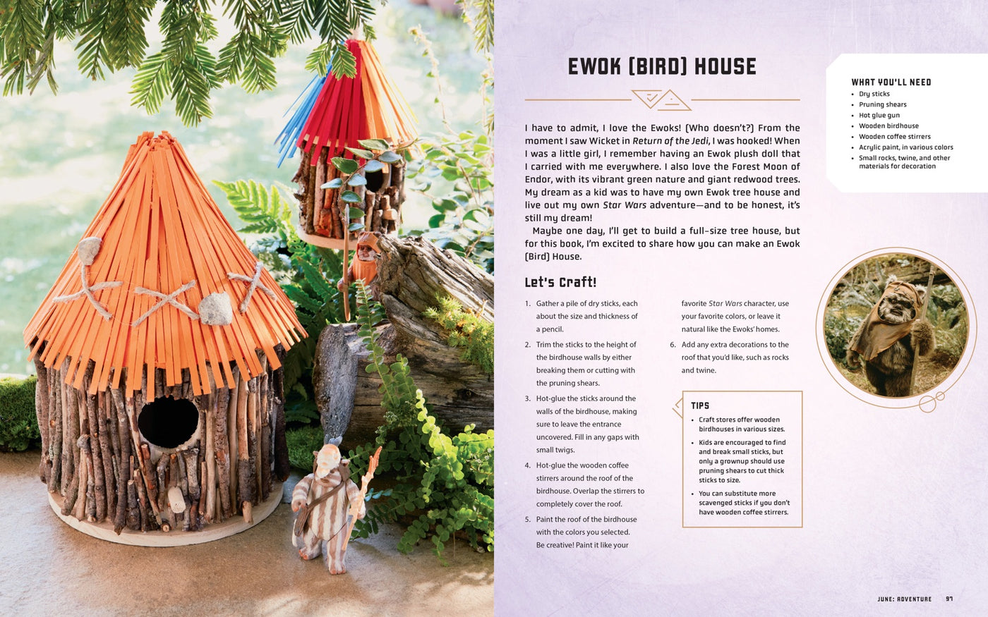 Star Wars Everyday inside page 4