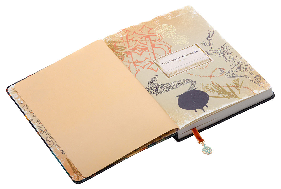 Harry Potter: Hermione Granger Journal with Ribbon Charm inside page 2