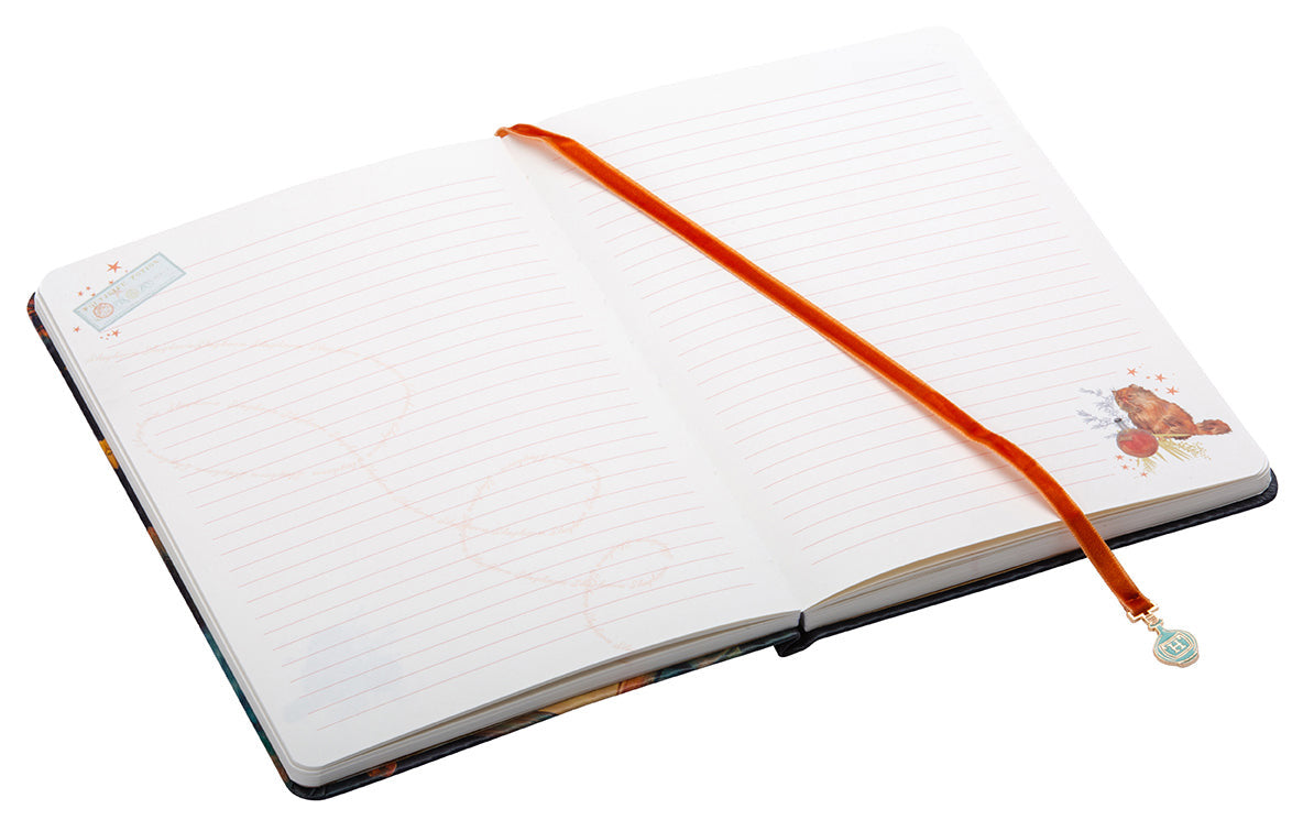 Harry Potter: Hermione Granger Journal with Ribbon Charm inside page 3