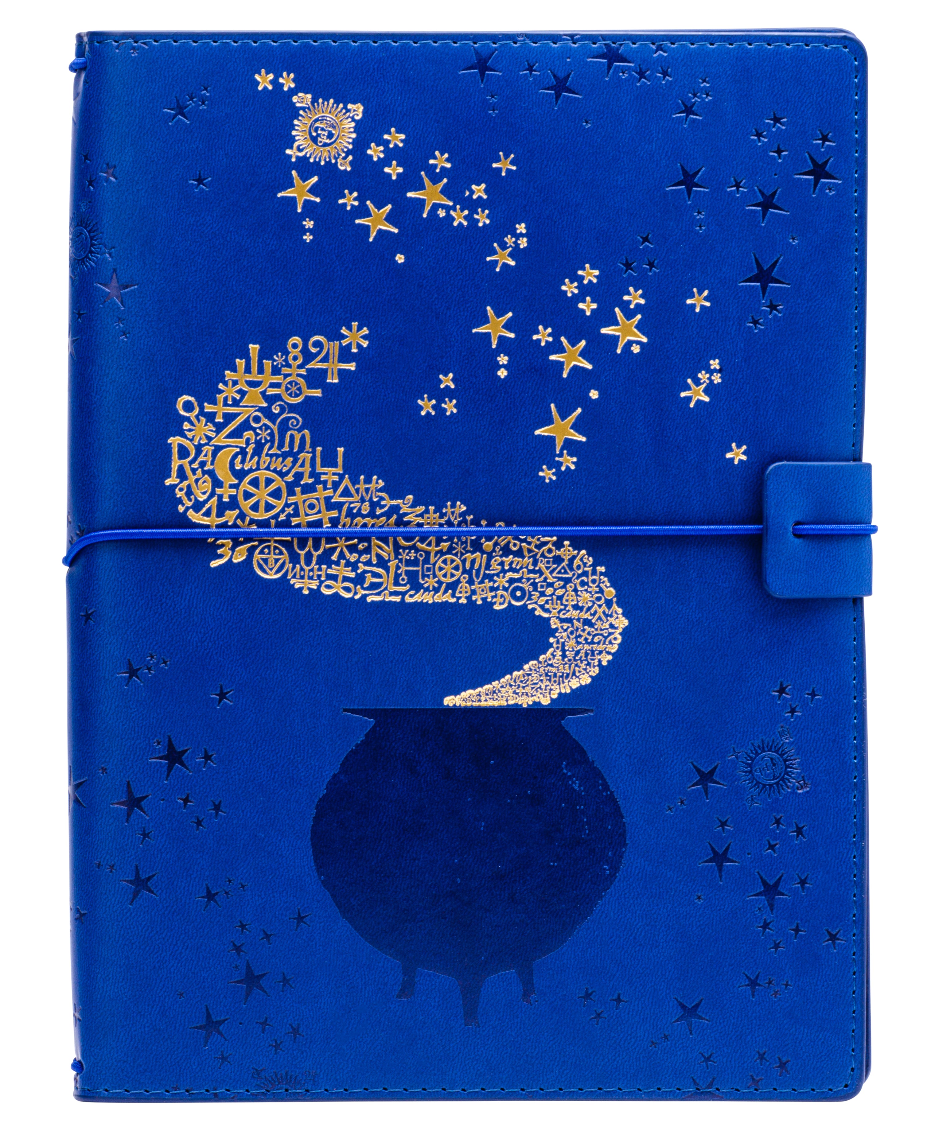 Harry Potter: Spells and Potions Traveler's Notebook Set
